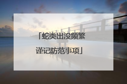 蛇类出没频繁 谨记防范事项