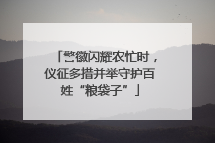 警徽闪耀农忙时，仪征多措并举守护百姓“粮袋子”