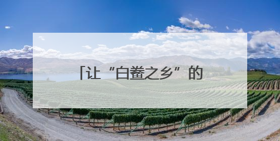 让“白鲞之乡”的好味道香飘四方