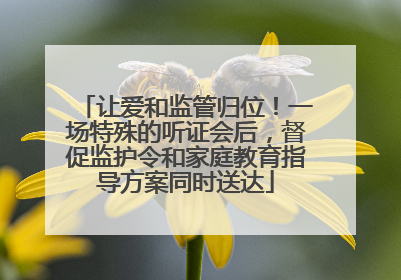 让爱和监管归位！一场特殊的听证会后，督促监护令和家庭教育指导方案同时送达
