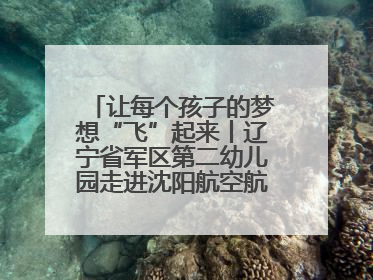 让每个孩子的梦想“飞”起来丨辽宁省军区第二幼儿园走进沈阳航空航天大学开展爱国主义教育