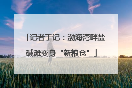 记者手记：渤海湾畔盐碱滩变身“新粮仓”