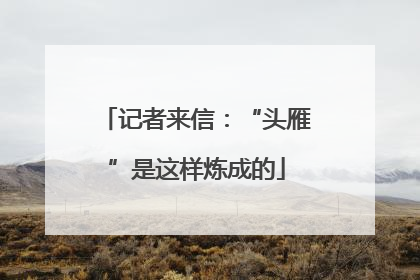 记者来信：“头雁”是这样炼成的