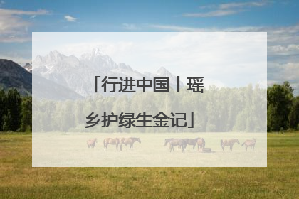 行进中国丨瑶乡护绿生金记