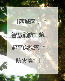 西城区：“智慧消防”筑起平房院落“防火墙”