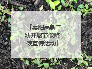 襄阳高新二幼开展节能降碳宣传活动