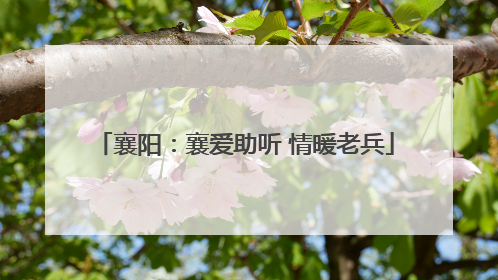 襄阳：襄爱助听 情暖老兵