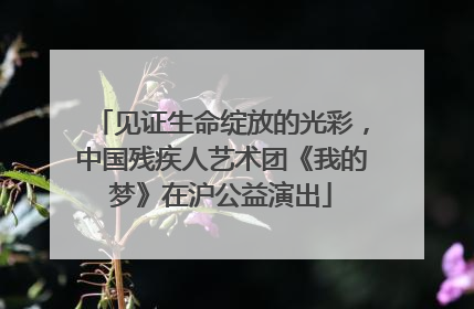 见证生命绽放的光彩，中国残疾人艺术团《我的梦》在沪公益演出