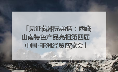 见证藏湘兄弟情：西藏山南特色产品亮相第四届中国-非洲经贸博览会