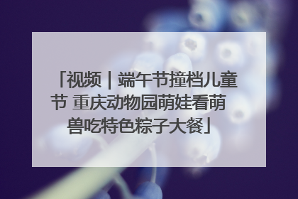 视频｜端午节撞档儿童节 重庆动物园萌娃看萌兽吃特色粽子大餐