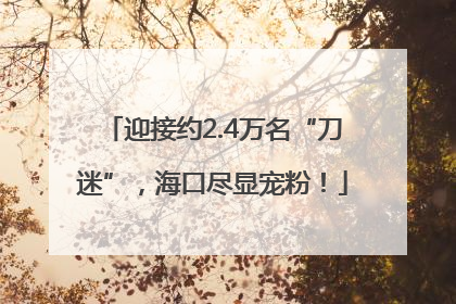 迎接约2.4万名“刀迷”，海口尽显宠粉！