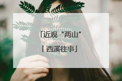 近观“两山”丨西溪往事