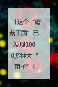 这个“蘑菇王国”已发现1000多种大“菌子”