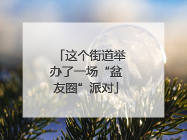 这个街道举办了一场“盆友圈”派对