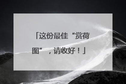 这份最佳“赏荷图”，请收好！