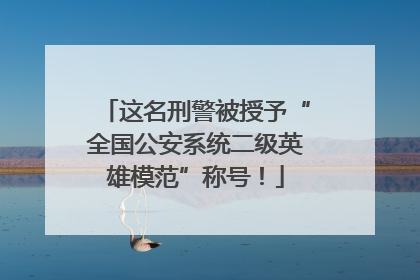 这名刑警被授予“全国公安系统二级英雄模范”称号！
