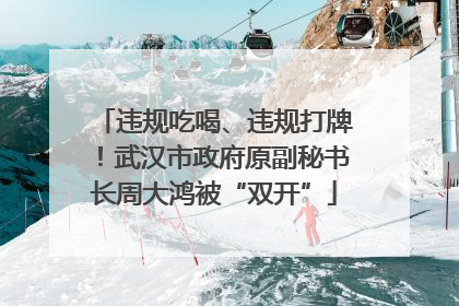 违规吃喝、违规打牌！武汉市政府原副秘书长周大鸿被“双开”