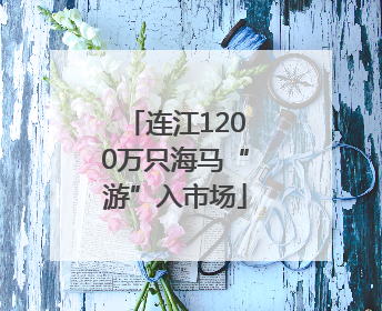 连江1200万只海马“游”入市场