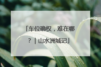车位确权，难在哪？｜山水洲城记