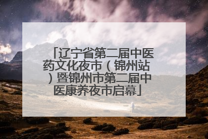 辽宁省第二届中医药文化夜市（锦州站）暨锦州市第二届中医康养夜市启幕
