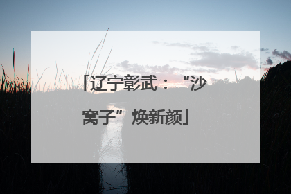 辽宁彰武：“沙窝子”焕新颜