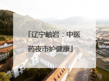 辽宁岫岩：中医药夜市护健康