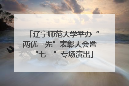 辽宁师范大学举办“两优一先”表彰大会暨“七一”专场演出