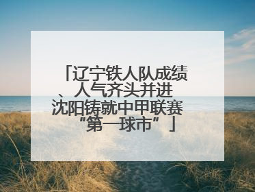 辽宁铁人队成绩、人气齐头并进 沈阳铸就中甲联赛“第一球市”