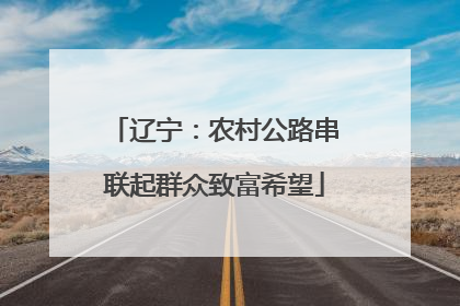 辽宁：农村公路串联起群众致富希望