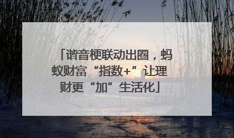 谐音梗联动出圈，蚂蚁财富“指数+”让理财更“加”生活化