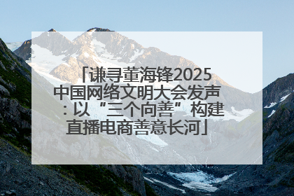 谦寻董海锋2025中国网络文明大会发声：以“三个向善”构建直播电商善意长河