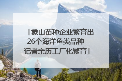 象山苗种企业繁育出26个海洋鱼类品种 记者亲历工厂化繁育