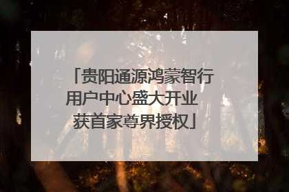 贵阳通源鸿蒙智行用户中心盛大开业 获首家尊界授权
