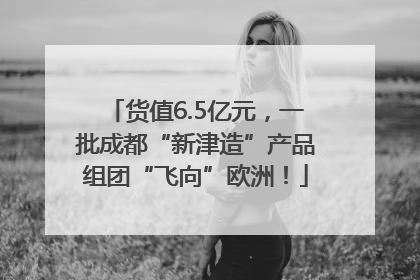 货值6.5亿元，一批成都“新津造”产品组团“飞向”欧洲！