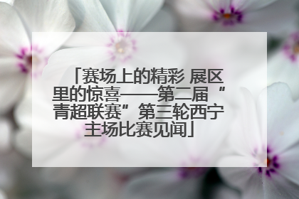 赛场上的精彩 展区里的惊喜——第二届“青超联赛”第三轮西宁主场比赛见闻