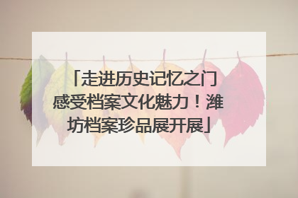 走进历史记忆之门 感受档案文化魅力！潍坊档案珍品展开展