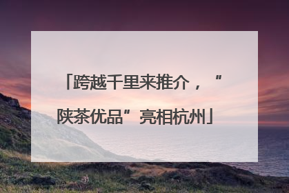 跨越千里来推介，“陕茶优品”亮相杭州