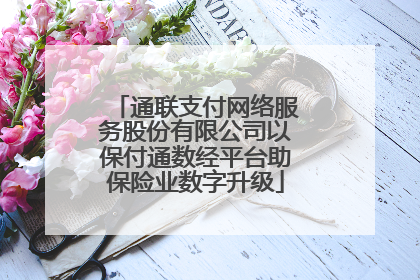 通联支付网络服务股份有限公司以保付通数经平台助保险业数字升级