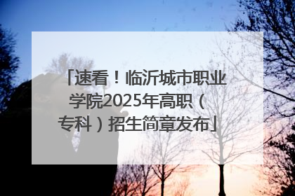 速看！临沂城市职业学院2025年高职（专科）招生简章发布