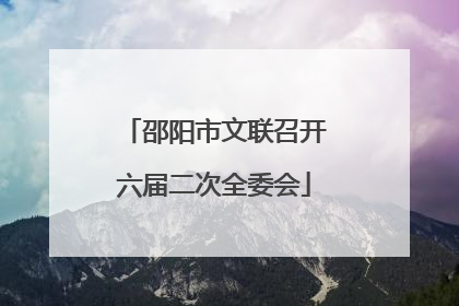 邵阳市文联召开六届二次全委会