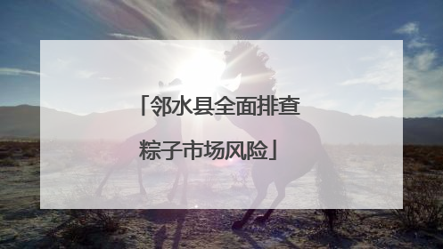 邻水县全面排查粽子市场风险