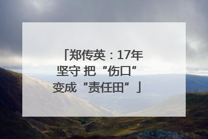 郑传英：17年坚守 把“伤口”变成“责任田”
