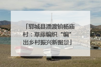 郓城县潘渡镇杨庙村：草藤编织“编”出乡村振兴新图景