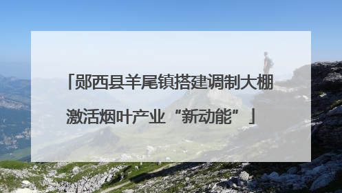 郧西县羊尾镇搭建调制大棚激活烟叶产业“新动能”