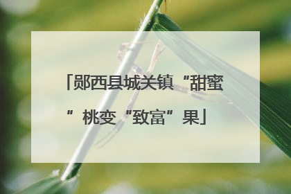 郧西县城关镇“甜蜜”桃变“致富”果
