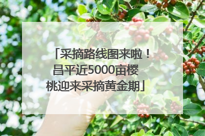 采摘路线图来啦！昌平近5000亩樱桃迎来采摘黄金期