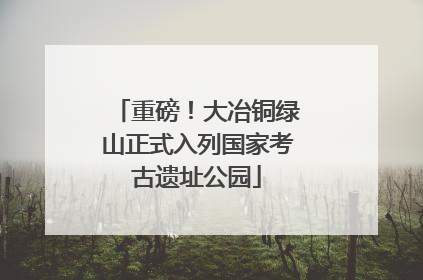 重磅！大冶铜绿山正式入列国家考古遗址公园