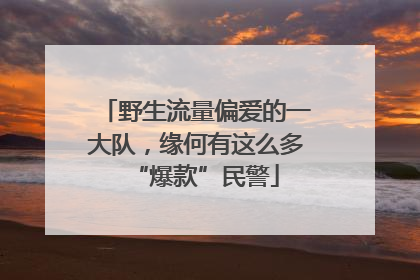 野生流量偏爱的一大队，缘何有这么多“爆款”民警