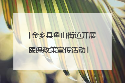 金乡县鱼山街道开展医保政策宣传活动