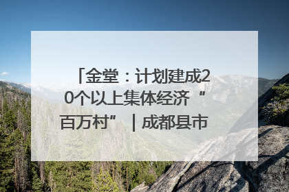 金堂：计划建成20个以上集体经济“百万村”｜成都县市新城高质量发展